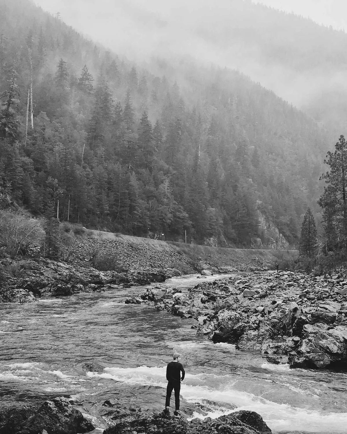 The photographer at work